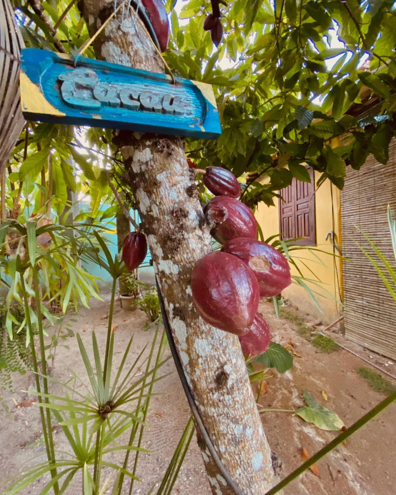 Caraiva Recanto Pousada De Ferias Exterior foto